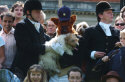 Connaught Square Squirrel Hunt