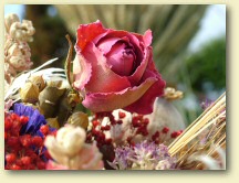 Forever Flowers