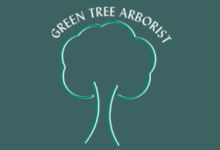 Green Tree Arborist