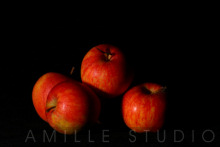 Amille Studios