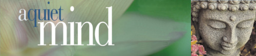 Mindful Yoga