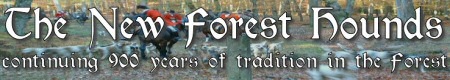 New Forest Hounds
