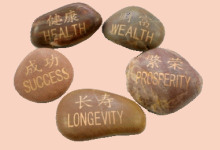 CJP Holistic Training Solutions